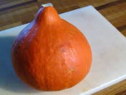 Japanese Heirloom Red Kuri Hokkaido Squash Seed by Stonysoil Seed Company.25 Certified Organic Seeds