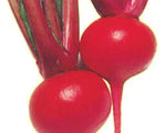 Red Round Turnip Seeds for Planting - 100 Seeds - Exotic Heirloom Garden Seeds