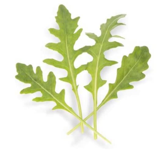 Athena Arugula Seeds for Planting (200 Seeds) - Grow Your Own Food