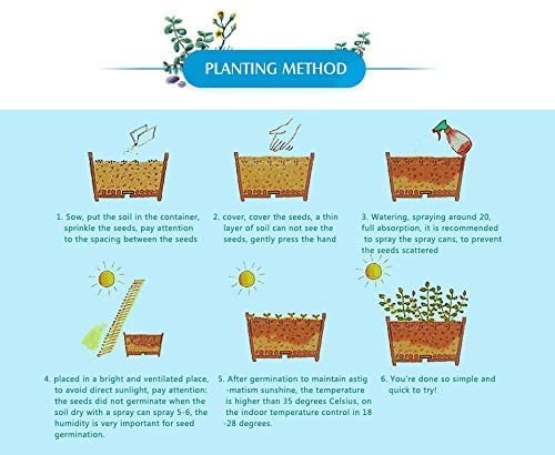 Bonsai Lotus Seeds for Planting | 10 Seeds | Beautiful Flowering Aquatic Bonsai Plant Seeds | Made in USA, Ships from Iowa