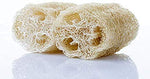 Loofah Gourd Seeds - 20 Seeds - Luffa Sponge Gourd, Exotic Vegetable, Easy to Grow. Made in USA, Ships from Iowa.
