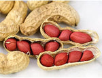 Tennessee Red Peanut Seeds, 20 Peanut Seeds Per Packet (10 Shells), Non GMO Seeds, (Arachis hypogaea)