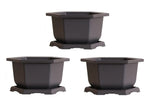 Large Hexagonal Bonsai Pot and Drip Tray - 11 inch Container with Tray (3 Pots)