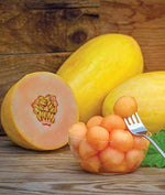 Mango Seed - 50 Seeds - Made in USA, Ships from Iowa.