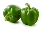 Green Bell Pepper Seeds to Plant - 100+ Seeds - Versatile Pepper for Eating and Seasoning. Made in USA. Ships from Iowa