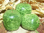 10 Speckled Apple Gourd Seeds, Dry it, paint it, and have fun with seasonal displays!