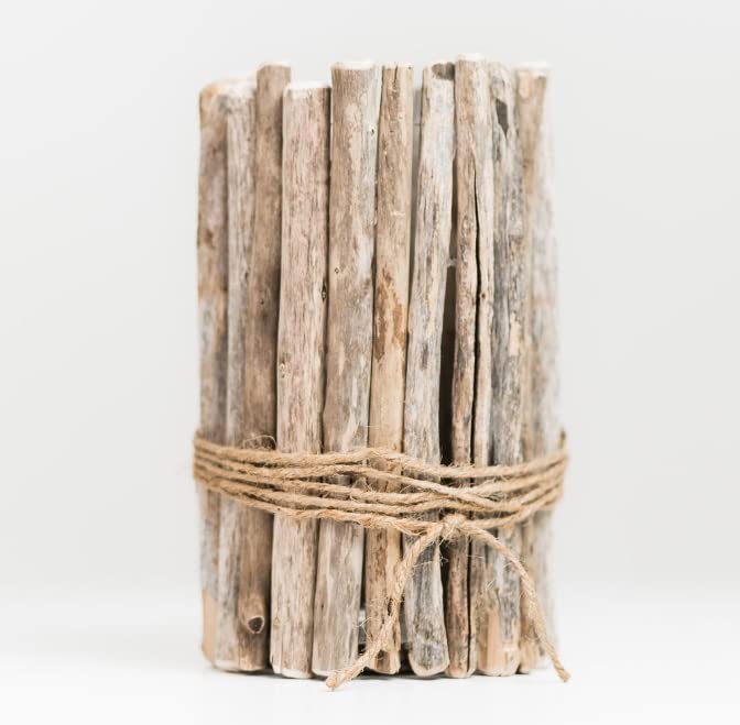 Driftwood Vase - Beach House Decor or Wedding Table Centerpiece - Glass Vase and Driftwood - Rustic and Chic Lake House, Boho