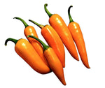 Bulgarian Carrot Pepper 30 Seeds - Capsicum Annuum, Hot Pepper Seeds, Heirloom Pepper Seeds, Rare Pepper Seeds, Pepper Seeds for Gardening, Vegetable Seeds for Planting