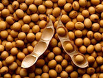 Vegan Soybeans (5 Lbs) Gluten Free, Great for Salad Sprouts Grown in Iowa, Vegetarian Diet, Tofu, Soymilk. Soybean Seeds