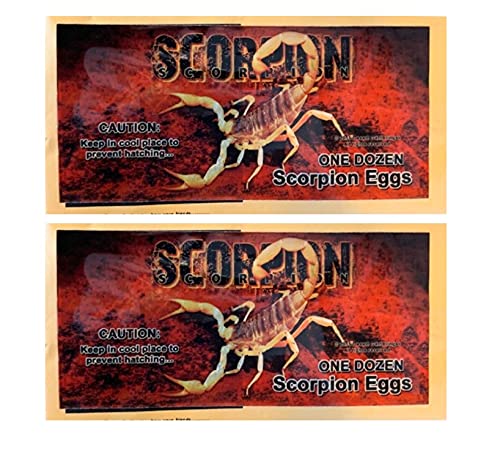 CZ Grain Scorpion Eggs Prank (2 Pack) - People Get Shook. Prank Stuff for Adults or Kids. - The Best Prank on The Planet. Reusable