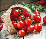 Garden Cherry Tomato Seeds for Planting - 300+ Seeds - Amazing Taste - Delicious Baby Tomatos