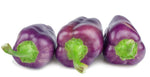 Purple Pepper Seeds to Plant - 100+ Seeds - Versatile Pepper for Eating and Seasoning. Made in USA. Ships from Iowa