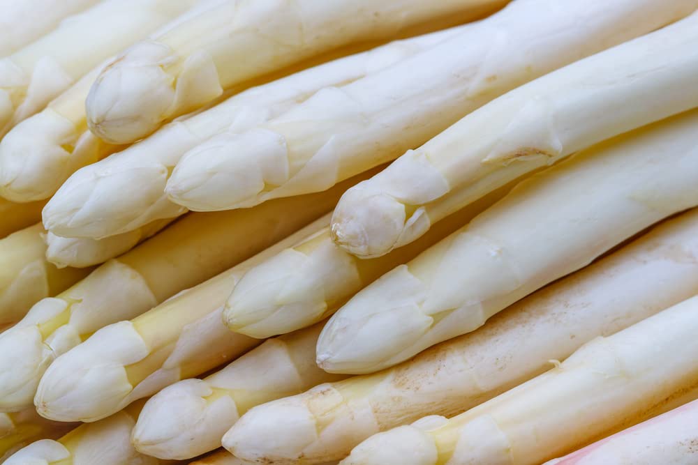 Exotic White Asparagus Seeds for Planting - 50+ Seeds - Rare Garden Vegetable Seeds