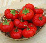 Pepper Pumkin Seeds for Planting (5 Rare Seeds) - Grow Peppers Shaped Like Pumpkins