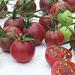 Chocolate Cherry Tomato Seeds (40+ Seeds) | Non GMO | Vegetable Fruit Herb Flower Seeds for Planting | Ships from Iowa, USA