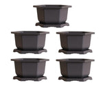Large Hexagonal Bonsai Pot and Drip Tray - 11 inch Container with Tray