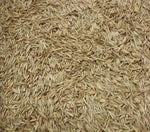 Creeping Red Fescue Seeds for Planting - Festuca rubra
