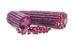 Purple Popcorn Corn Seeds - 50 Seeds for Planting - Prized for Popcorn, Corn Meal Flour, and its Beautiful Colored Leaves - Organic and Rare