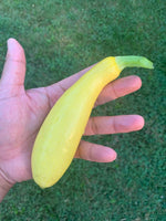 Straightneck Squash Seeds for Planting - 50+ Seeds - Delicious and Nutritious - Made in USA, Ships from Iowa