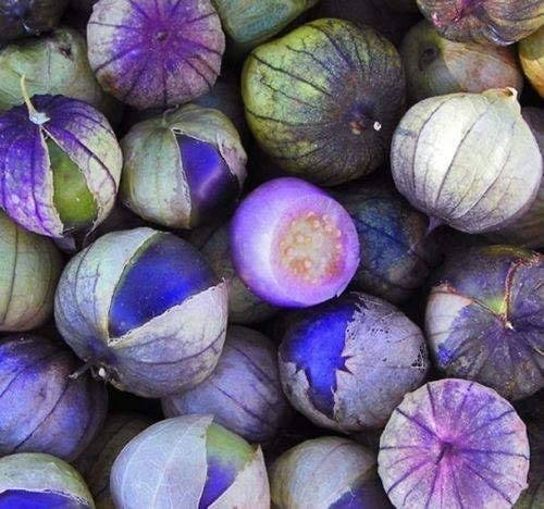 Purple Tomatillo Seeds for Growing | 100+ Seeds | Make Salsa | Made in USA, Ships from Iowa