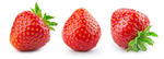 Everbearing Garden Strawberry Seeds - 200+ Seeds - Grow Red Strawberry Vines - Made in USA, Ships from Iowa.