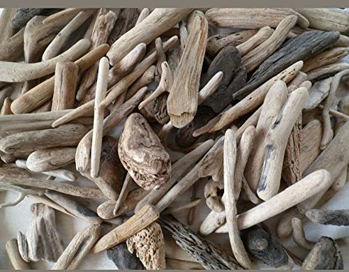 Driftwood Decor Bundle - (10 Pieces) 12-18 inches Long, Approx 1 inch Thick