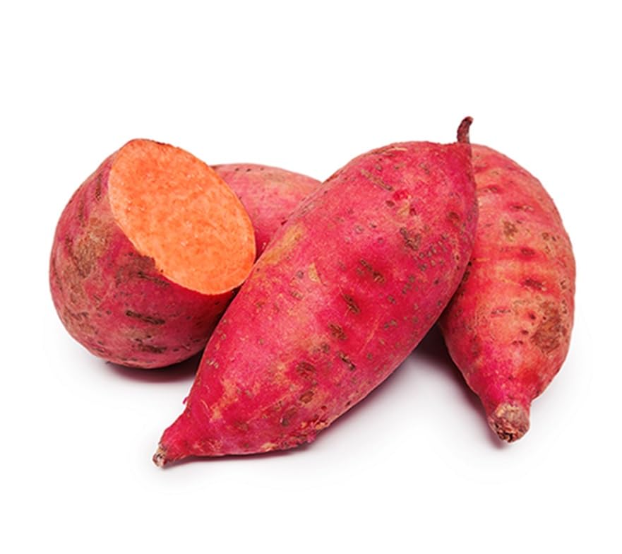 Re Garnet Sweet Potato Slips for Growing - Easy to Grow, Red Yams