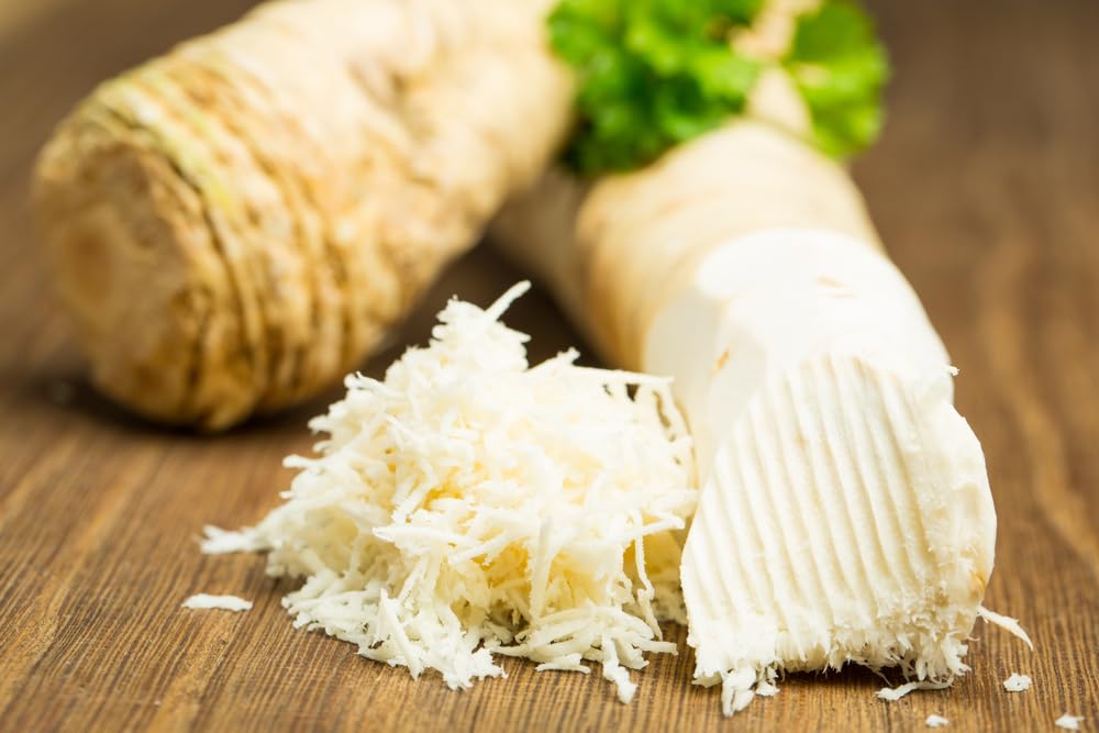 1 Pound Horseradish Roots for Planting - Grow Big Top Horseradish - Horseradish Crowns Garden Plant