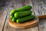 Picolino Mini Cucumber Seeds for Planting (10 Seeds) - Tasty 5-6 Inch Garden Vegetables