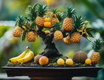 Wild Pineapple Bonsai Seeds for Planting (10 Seeds) - Bromelia Pinguin