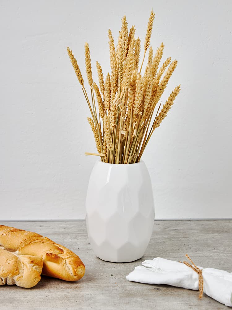 Dried Rye Stalks for Decoration - 50 Stalks