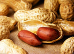 10 Champ Peanut Seeds (Shell) Early Maturing Virginia-Type Peanut