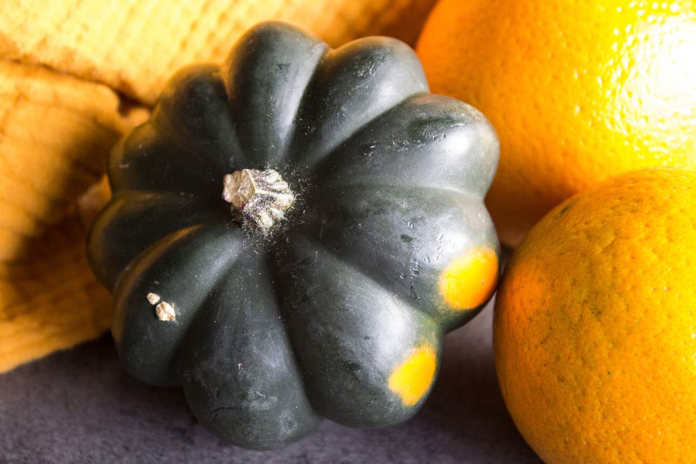 Giant Acorn Squash - 50+ Seeds - Table Squash, Delicious and Nutritious - Made in USA, Ships from Iowa