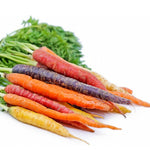 Rainbow Carrot Seeds for Planting | Non-GMO & Heirloom Vegetable Seeds | 750 Carrot Seeds to Plant Outdoor Home Garden | Buy Planting Packets in Bulk