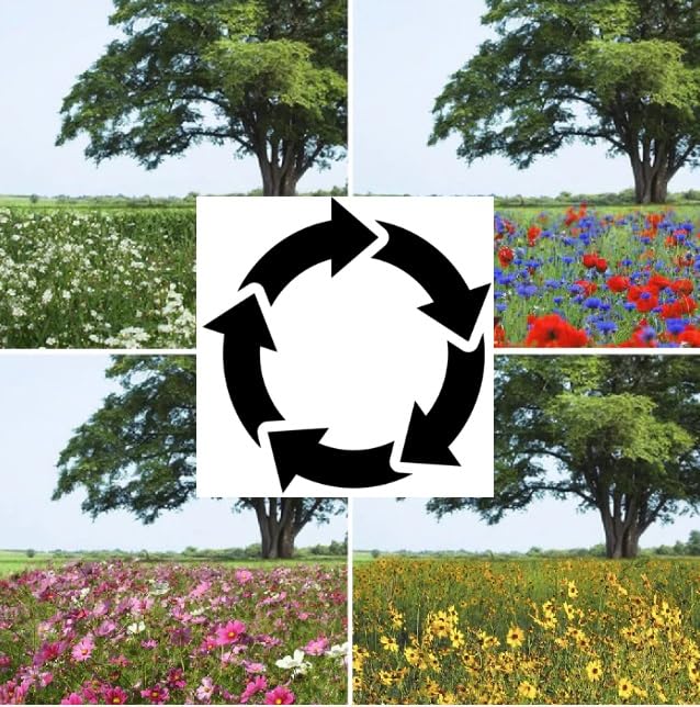 Endless Summer - Annual Succession Mix (200 Seeds)