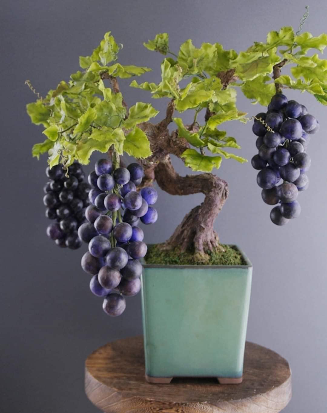 Grape Bonsai Tree Seeds for Planting - 50+ Seeds