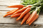 Scarlet Nantes Carrot Seeds for Planting | 100+ Seeds | Grow Your Own Vegetables | Tasty Carrots,