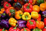 Rainbow Sweet Bell Pepper Mix - 50 Seeds - Grow Delicious Bell Peppers