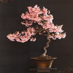 20 Japanese Cherry Bonsai Tree Seeds