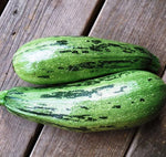 Caserta Squash Seeds for Planting (10 Seeds)