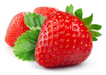Sparkle Strawberry Plants - Grow Delicious Red Strawberries - Bare Root Plants