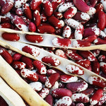 Jacob's Cattle Bean Seeds for Planting (20 Seeds) - Big Yielder