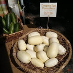 Fruit Seeds for Planting - Garden Fruit Seeds (Dragon Eggs - 20 Seeds)