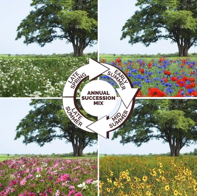 Endless Summer - Annual Succession Mix (200 Seeds)