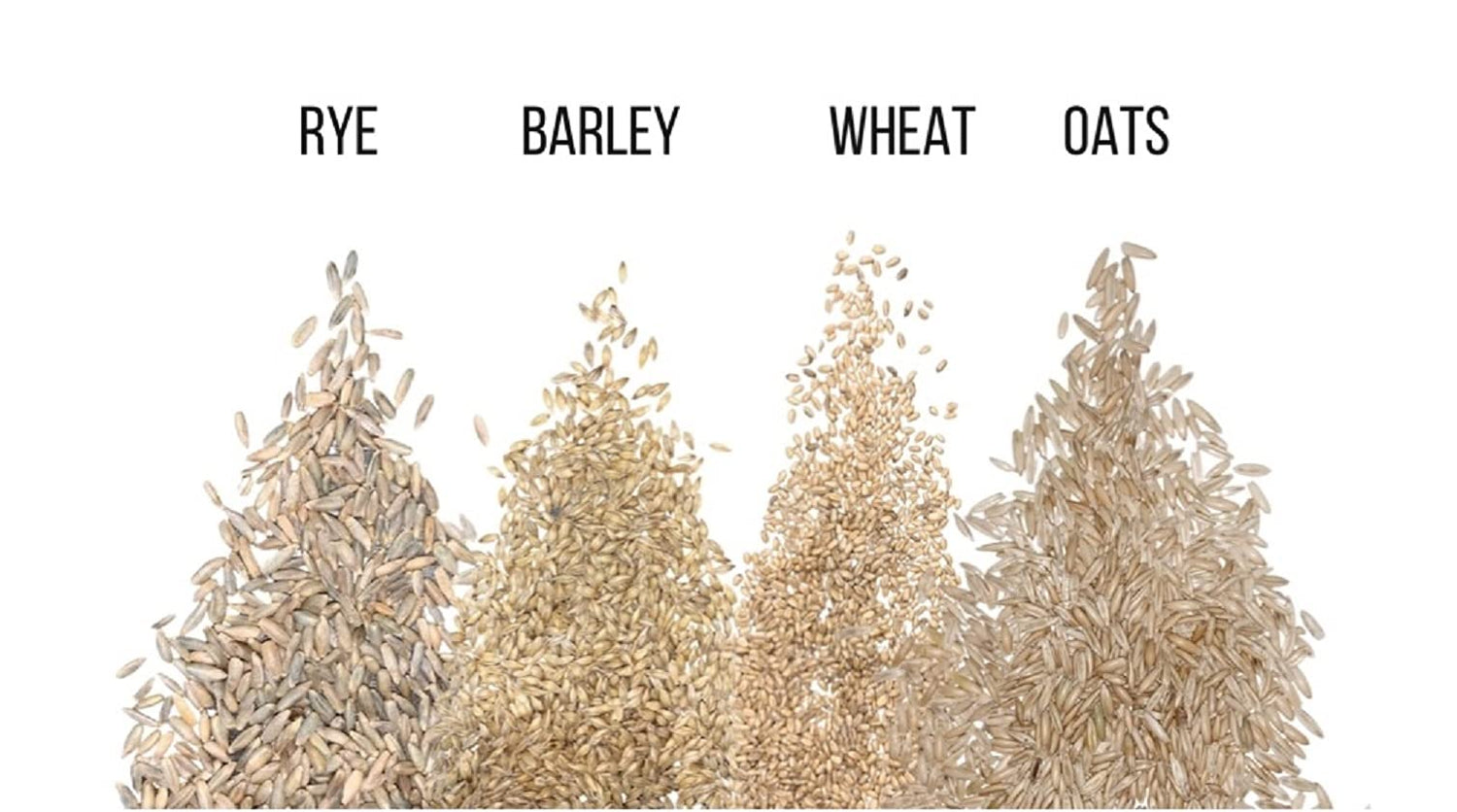 Cat Grass Seeds for Growing | 4 Way Blend, Rye, Wheat, Oats and Barley | Made in USA, Ships from Iowa.