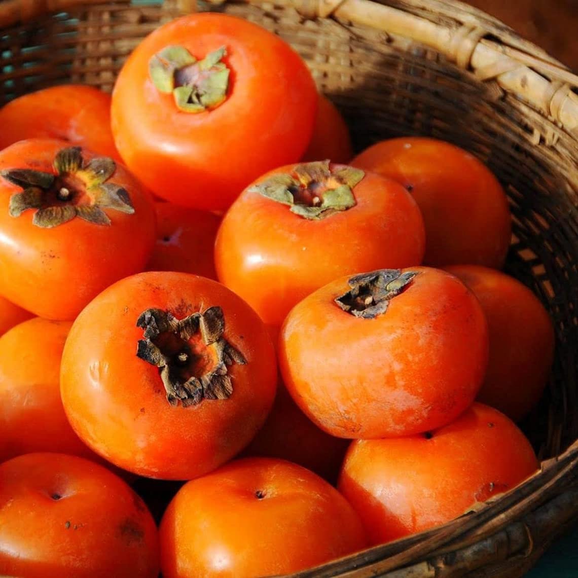 Persimmon Tree Seeds - 50 Seeds - Made in USA, Ships from Iowa - Popular Outdoor Tree or Bonsai