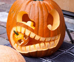 20 Big Max Pumpkin Seeds for Planting - Great for Jack-O-Lantern