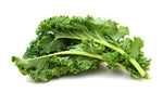 Kale Seeds to Plant | 100+ Seeds | Dwarf Blue Kale Seeds for Planting | Grow Your Own Food