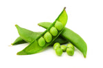 Sugar Daddy Snow Pea Seeds | 100 Seeds to Grow | Vegetable Seeds for Planting, Grow Your Own Food, Delicious