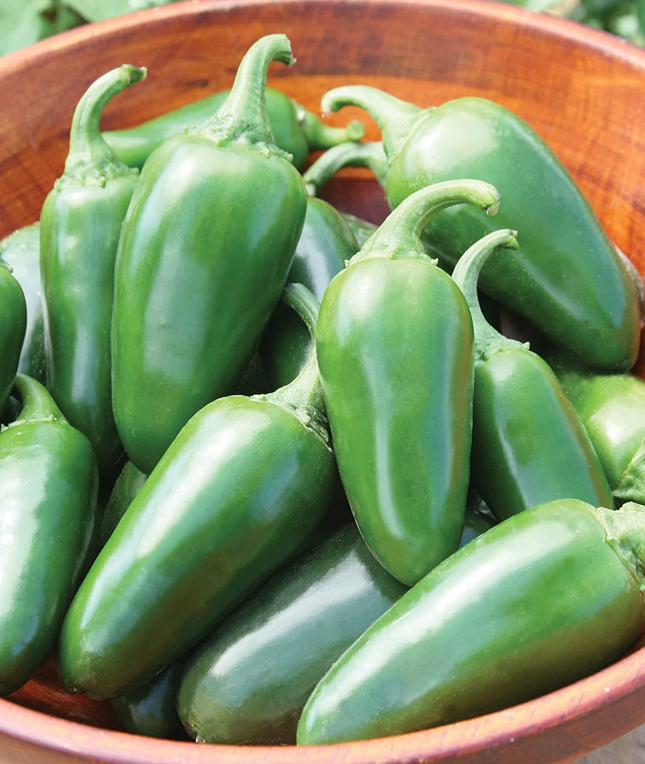 Jalapeno Pepper Seeds to Plant - 100+ Seeds - Versatile Pepper for Eating and Seasoning. Made in USA. Ships from Iowa
